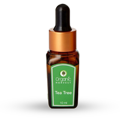 Buy Organic Harvest Tea Tree Essential Oil Online